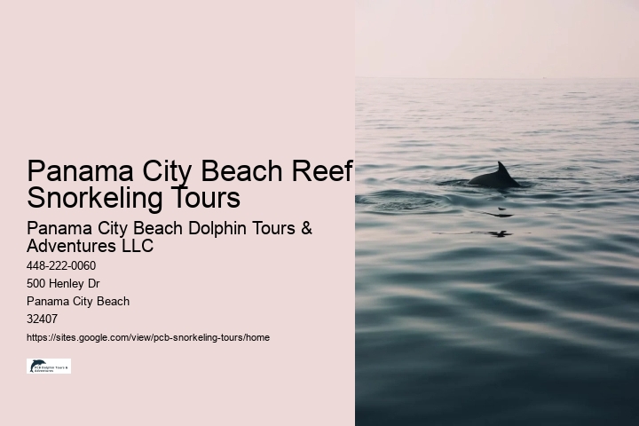 Panama City Beach Reef Snorkeling Tours