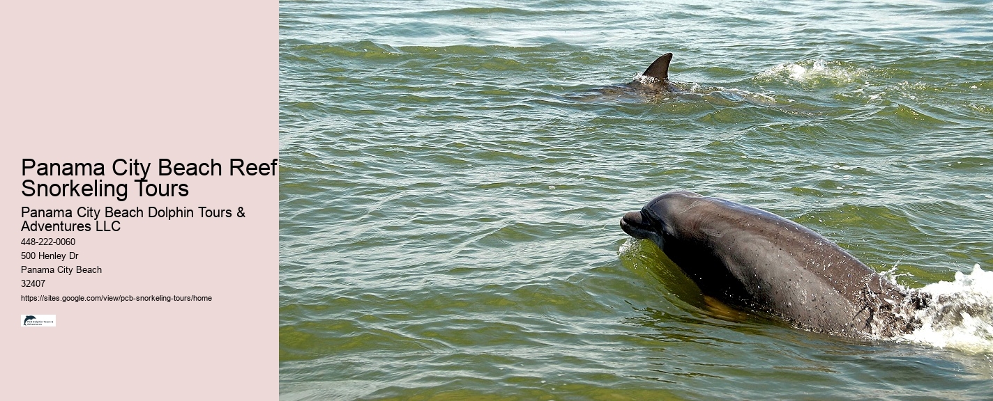 Panama City Beach Snorkel Sightseeing Trips