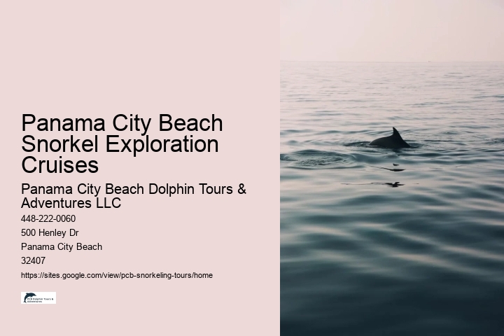 Panama City Beach Snorkel Exploration Cruises