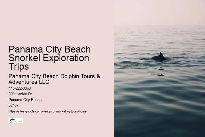 Panama City Beach Snorkel Exploration Trips