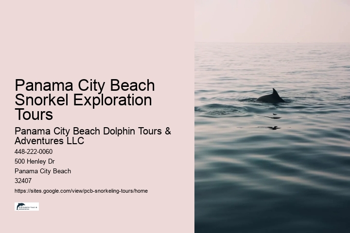 Panama City Beach Snorkel Exploration Tours