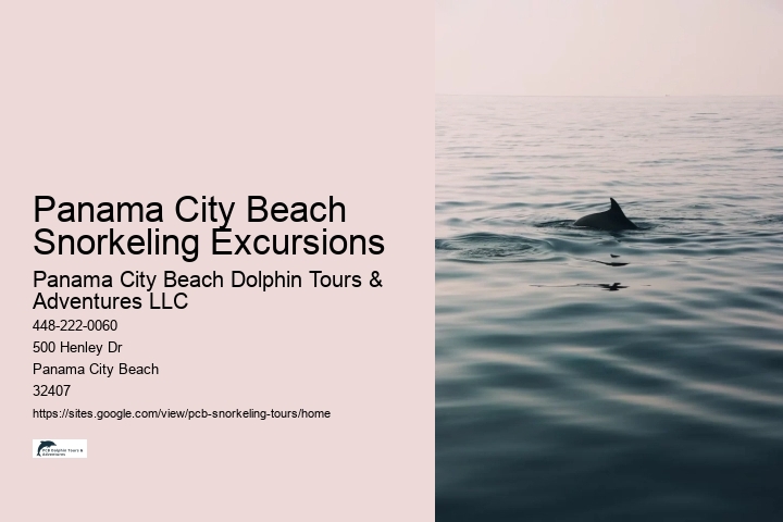 Panama City Beach Snorkeling Excursions