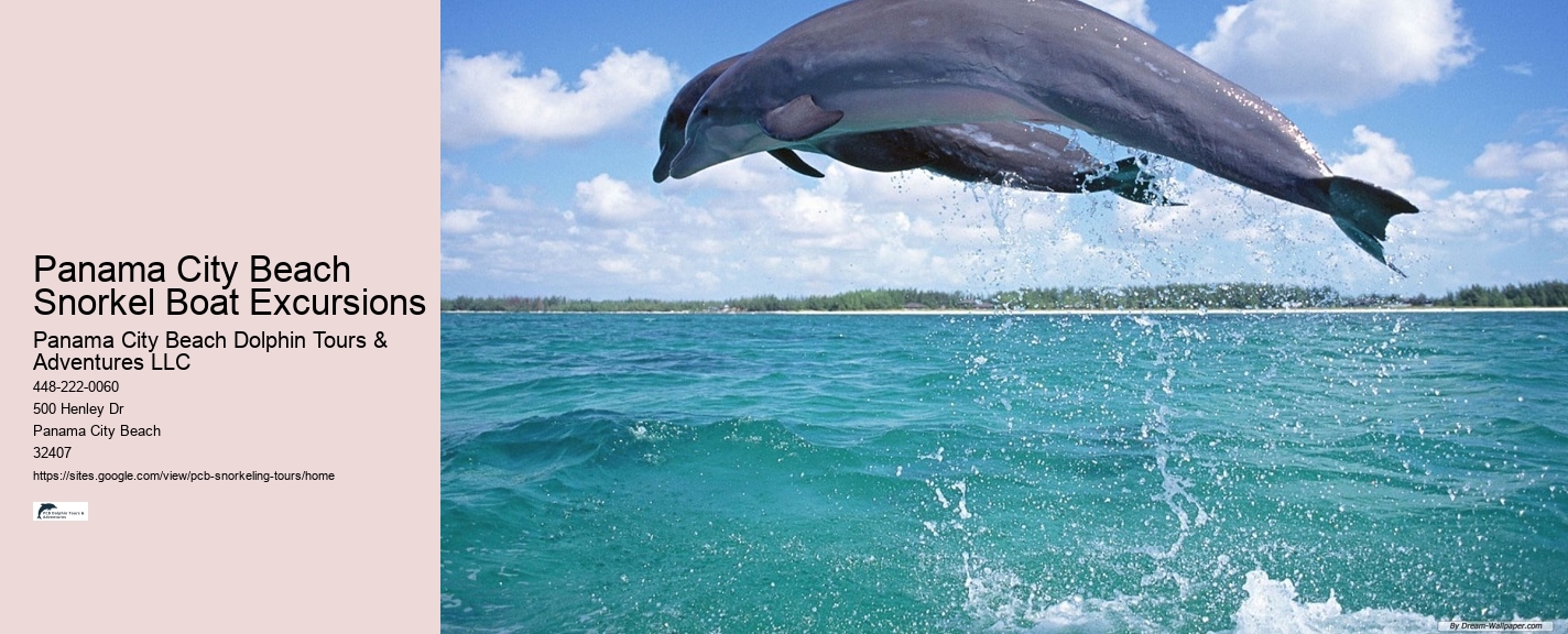 Guided Snorkel Tours In Panama City Beach