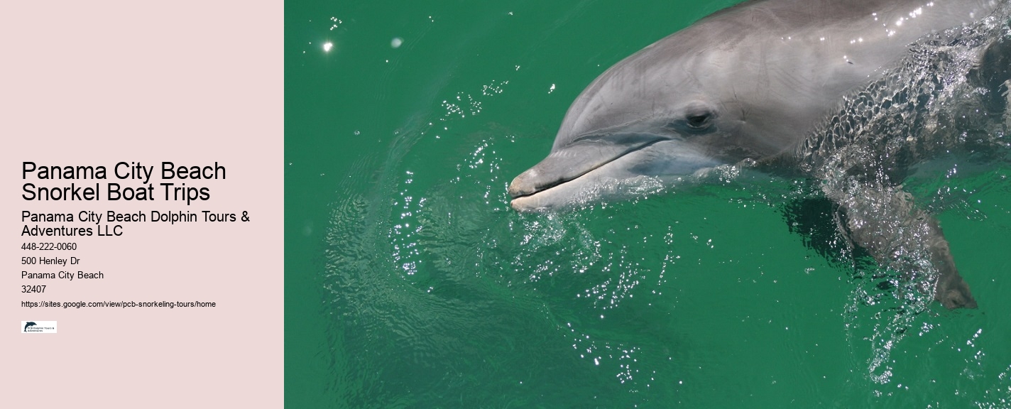 Snorkeling Trips Departing From Panama City Beach