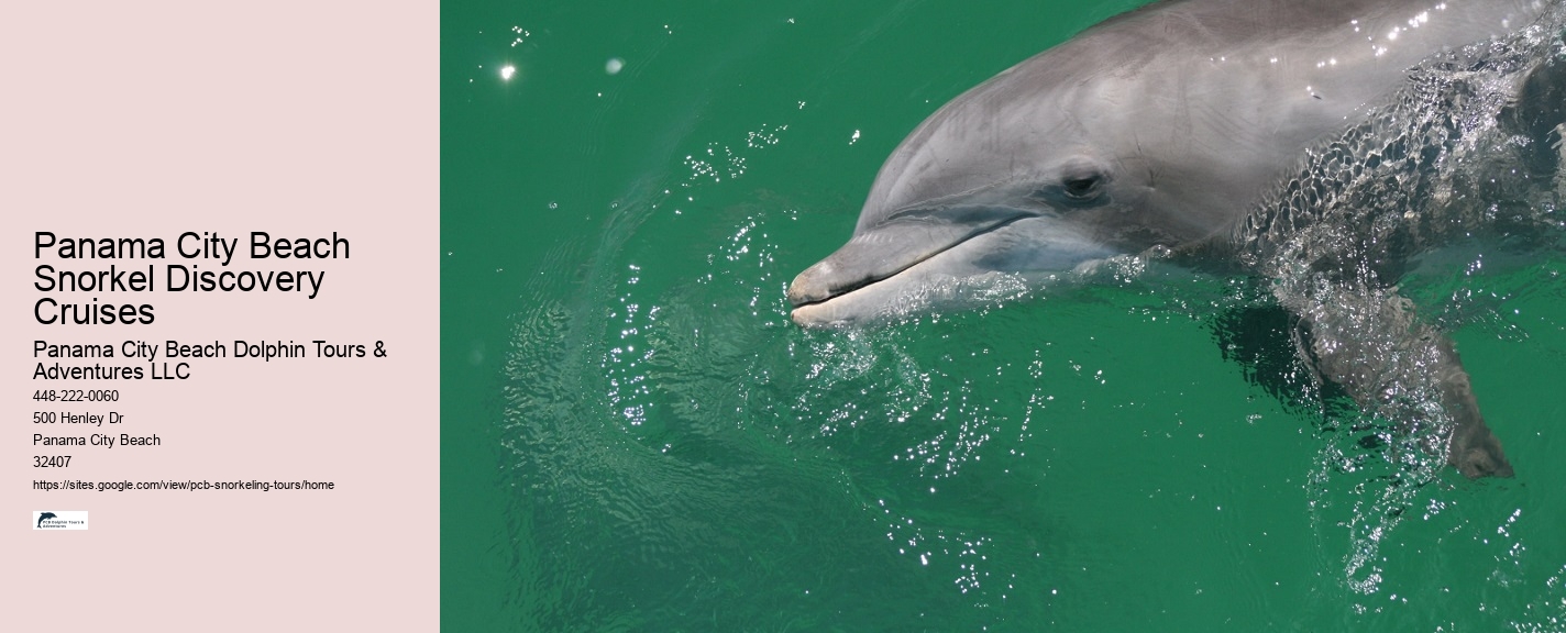 Panama City Beach Beach Snorkel Trip Aboard The Footloose Catamaran