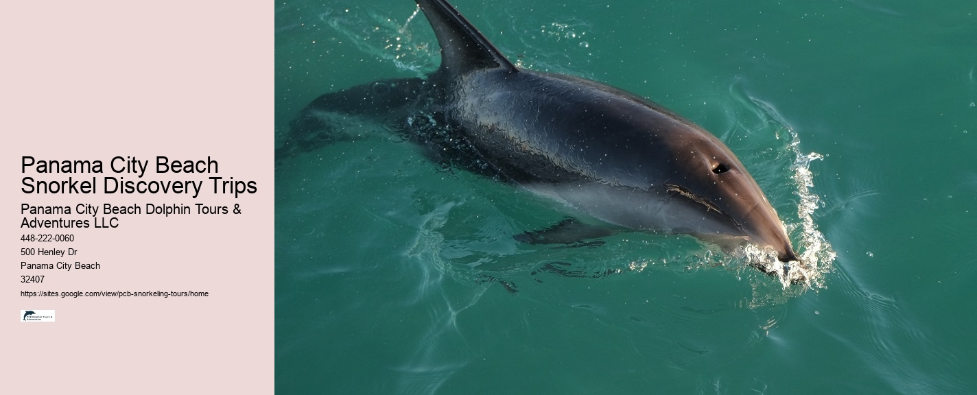 Panama City Beach Snorkeling Tours Orange Beach