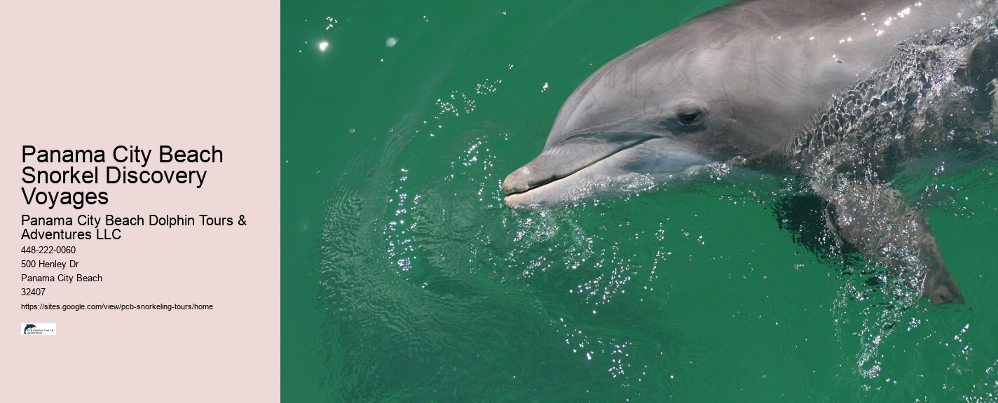 Snorkeling Charters Departing From Panama City Beach