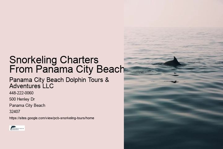 Snorkeling Charters From Panama City Beach