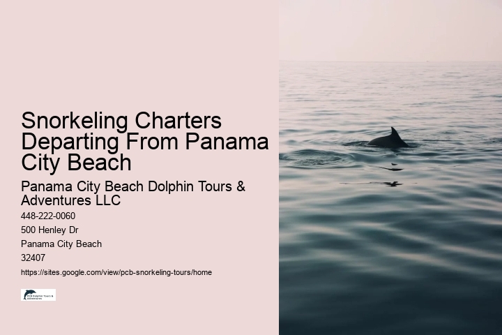 Snorkeling Charters Departing From Panama City Beach