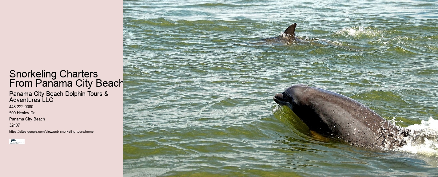 Panama City Beach Snorkeling Tours South