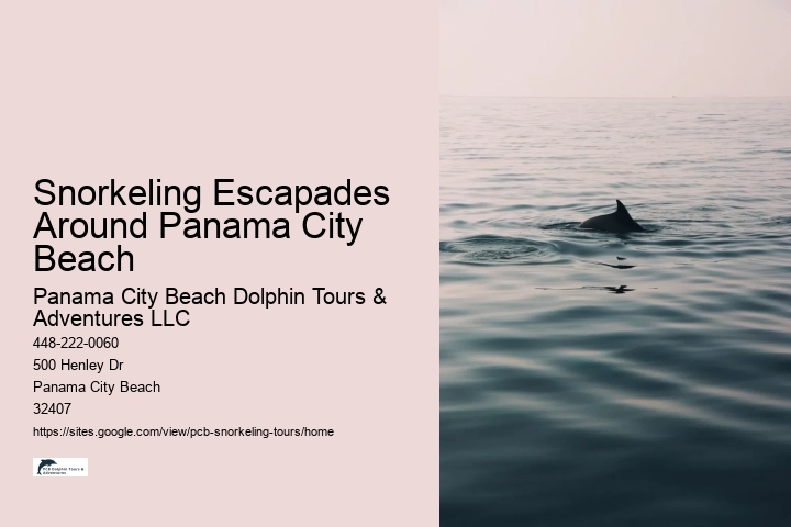 Snorkeling Escapades Around Panama City Beach