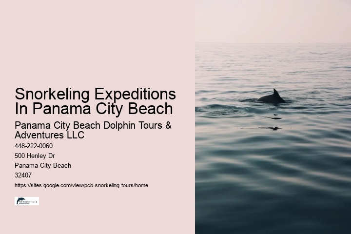 Snorkeling Expeditions In Panama City Beach