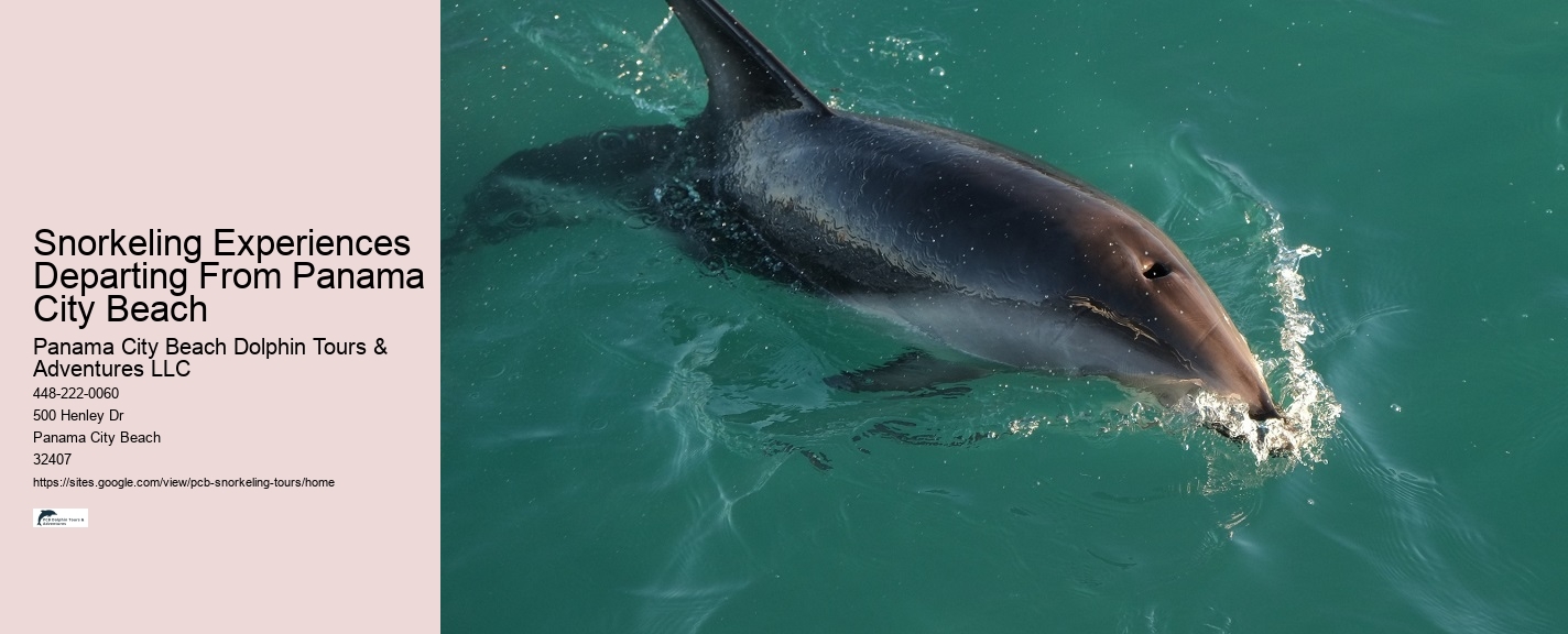 Snorkeling Trips Departing From Panama City Beach