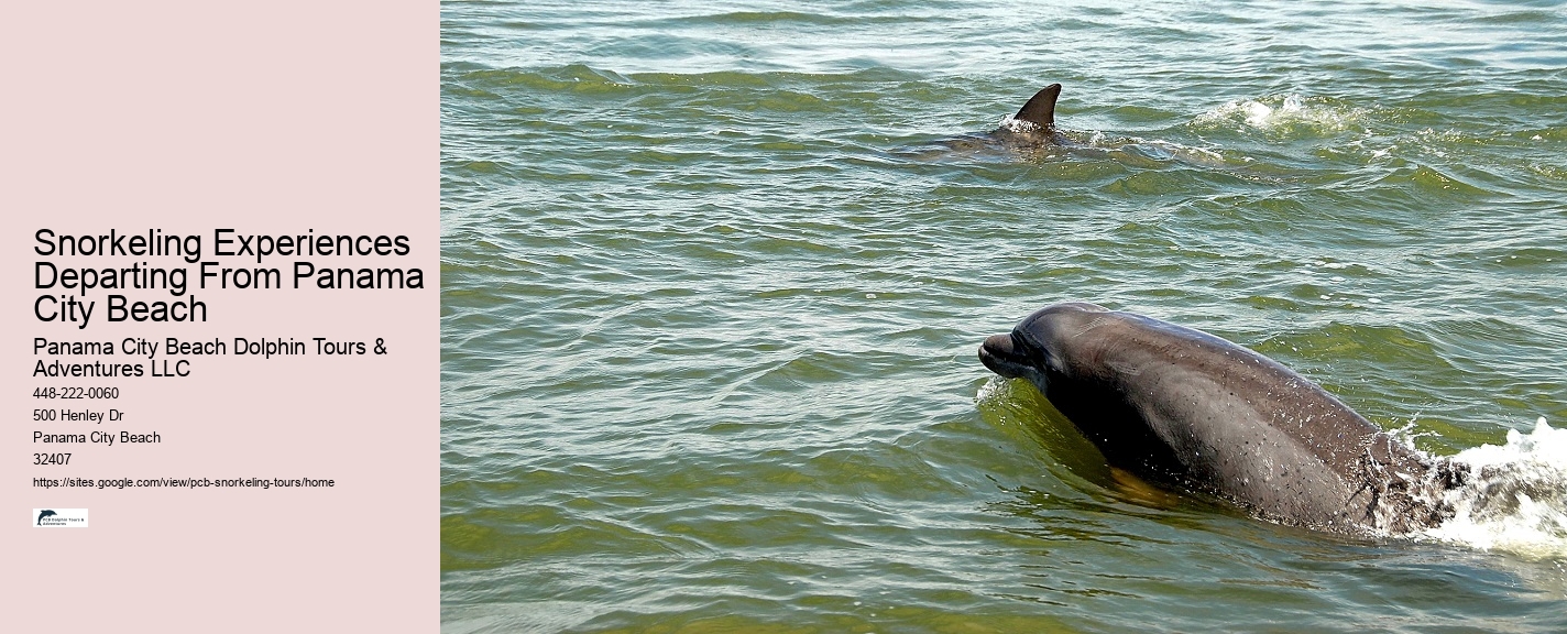 Panama City Beach Snorkeling Tours Ut