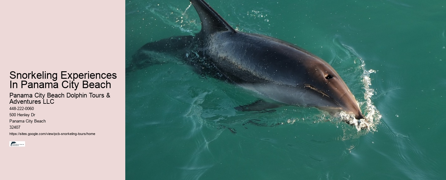 Snorkeling Charters Departing From Panama City Beach