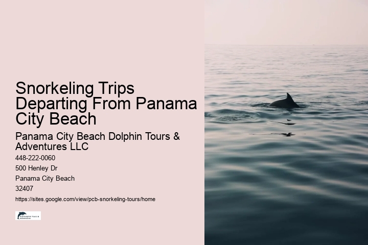 Snorkeling Trips Departing From Panama City Beach