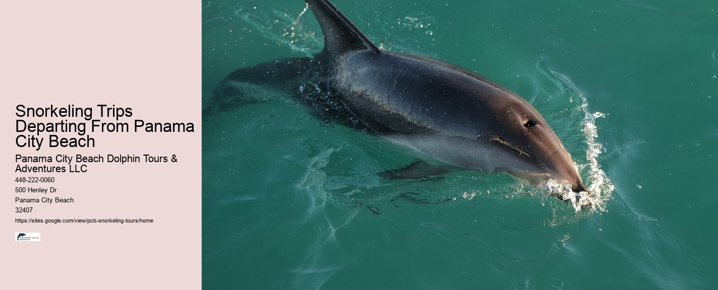 Snorkeling Adventures Departing From Panama City Beach